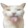 Tongue